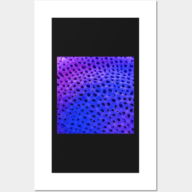 Thalassiosira lacustris in SEM (Purple) Wall Art by DiatomsATTACK